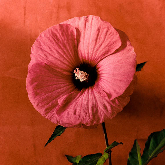 Sensual